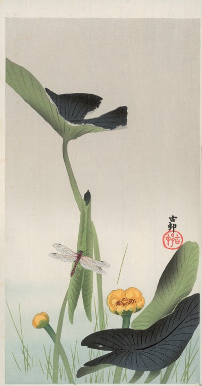 Dragonfly and Lotus (värillinen puupalikkaprintti) tekijältä Ohara Koson