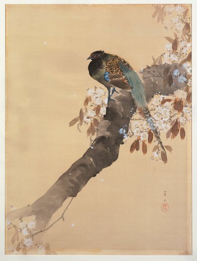 Fasaani kirsikankukan oksalla tekijältä Ohara Koson