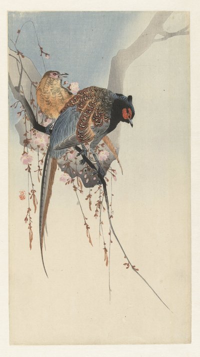 Fasaanipari ja luumukukka tekijältä Ohara Koson