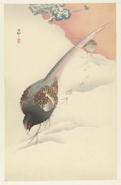 Fasaanipari lumessa tekijältä Ohara Koson