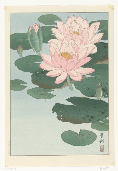Kukkiva lumpeenKukkiva lumpeen tekijältä Ohara Koson