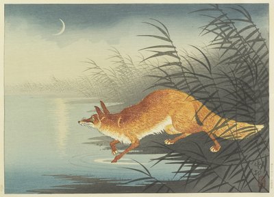 Fox by the Moonlit Water, 1930-luku (värillinen puupalikkaprintti) tekijältä Ohara Koson