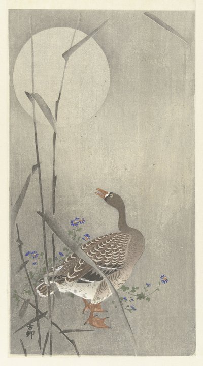 Hanhi täysikuussa tekijältä Ohara Koson