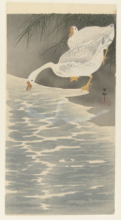 Hanhet rannalla tekijältä Ohara Koson