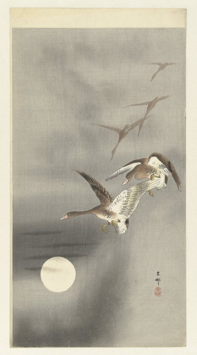 Hanhet lennossa tekijältä Ohara Koson