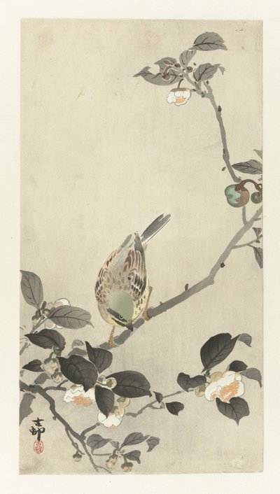 Sirkku kukkaoksalla tekijältä Ohara Koson