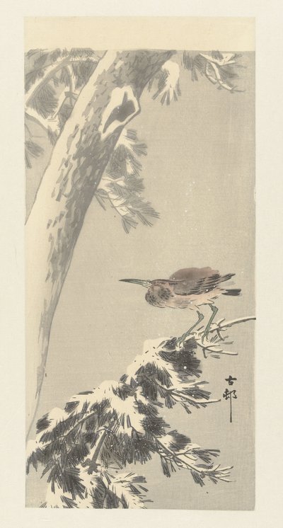 Intian yöhaikara lumisella puun oksalla tekijältä Ohara Koson