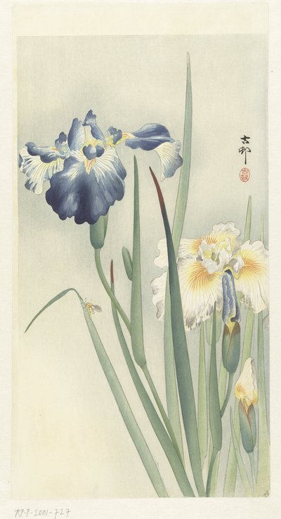 iirikset tekijältä Ohara Koson