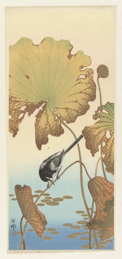 Japanilainen wagtail lootuskasvissa tekijältä Ohara Koson