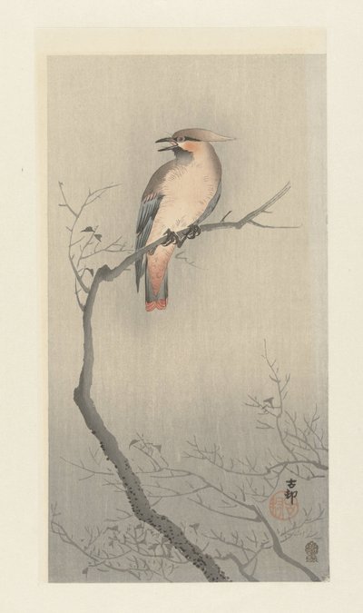 Japanilainen vahasiipi oksassa tekijältä Ohara Koson