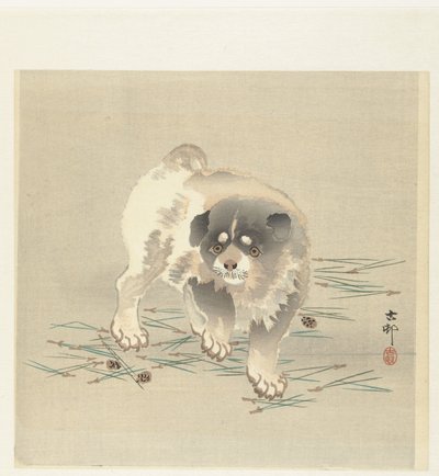 nuori koira tekijältä Ohara Koson