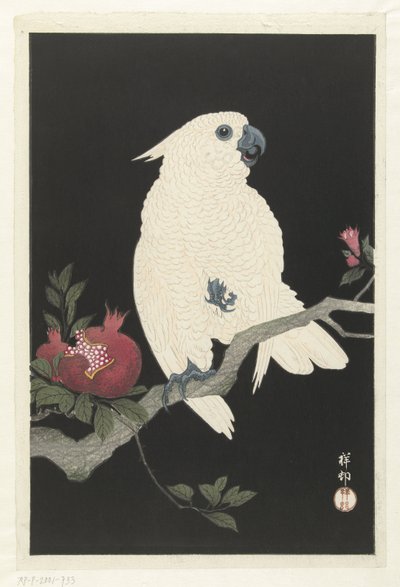 Kakadu ja granaattiomena tekijältä Ohara Koson