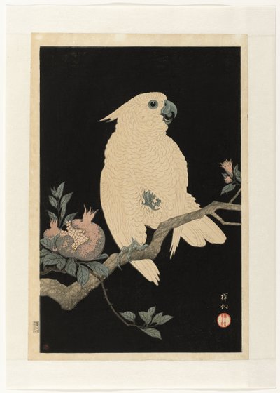 Kakadu granaattiomenalla tekijältä Ohara Koson