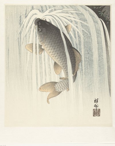 Karppi tekijältä Ohara Koson