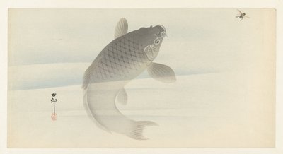 karppi ja lentää tekijältä Ohara Koson