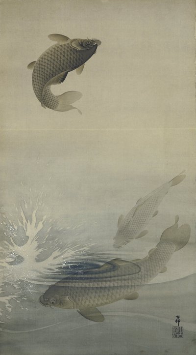 karppi tekijältä Ohara Koson