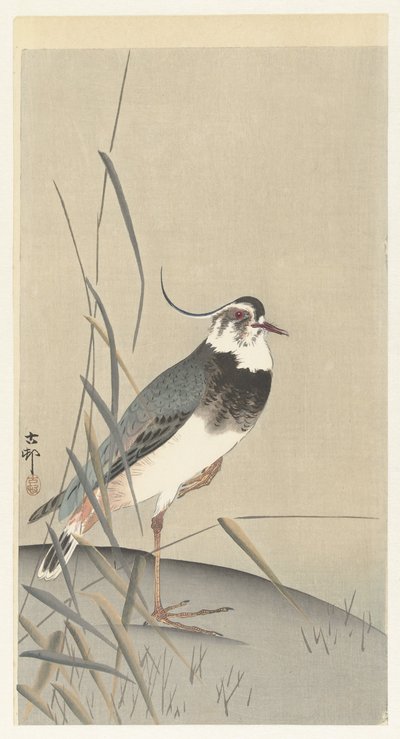 Kivi ja ruoko tekijältä Ohara Koson