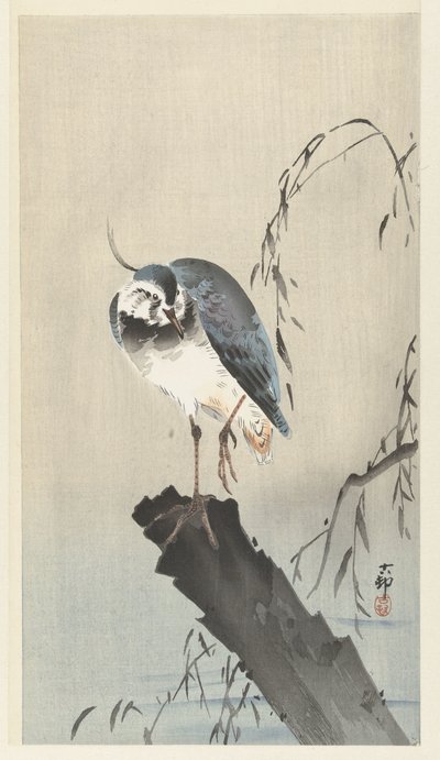 Kiertelee kannolla tekijältä Ohara Koson