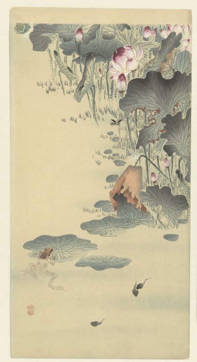 Sammakko ja nuijapäiset tekijältä Ohara Koson