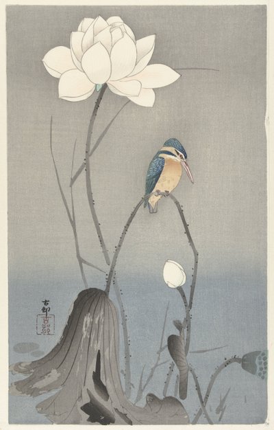 Kingfisher lootuskukka tekijältä Ohara Koson