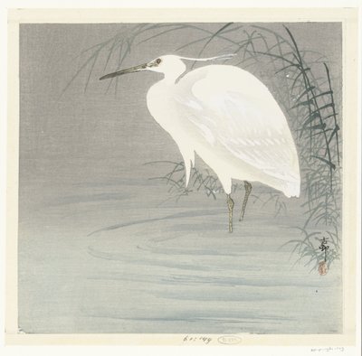 Pikkuhaikara tekijältä Ohara Koson