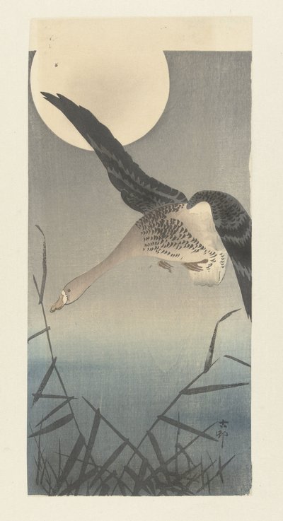 Valkorintahanhi täysikuussa tekijältä Ohara Koson