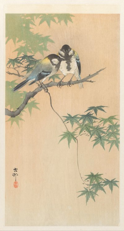 Isot tissit vaahteran oksalla tekijältä Ohara Koson