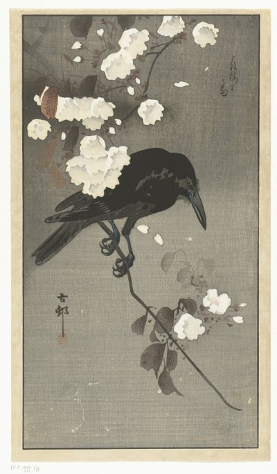 Varis kirsikankukan kanssa Hana sakura no tori (otsikko esineessä) tekijältä Ohara Koson