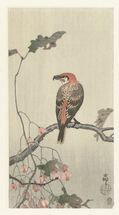 Ristinokka puun oksalla tekijältä Ohara Koson