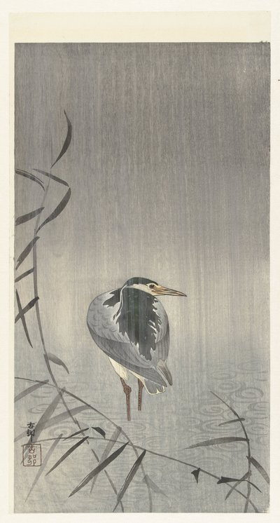Pukua sateessa tekijältä Ohara Koson