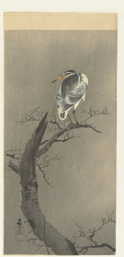 höpöttää tak tekijältä Ohara Koson