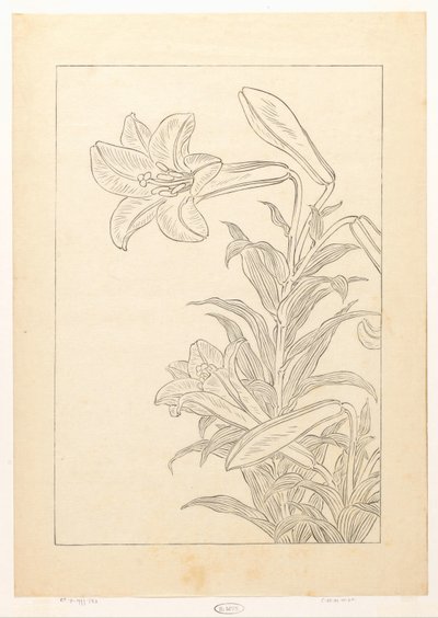 Lelies tekijältä Ohara Koson