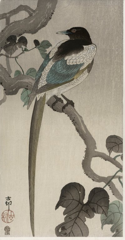 Harakka Pauwolnan oksalla (värillinen puupainatus) tekijältä Ohara Koson