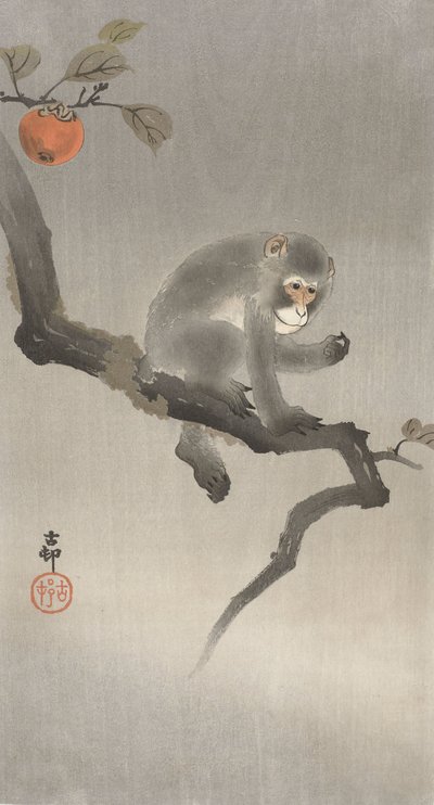 Apina hedelmäpuussa, 1900-30 (väripuupiirros) tekijältä Ohara Koson