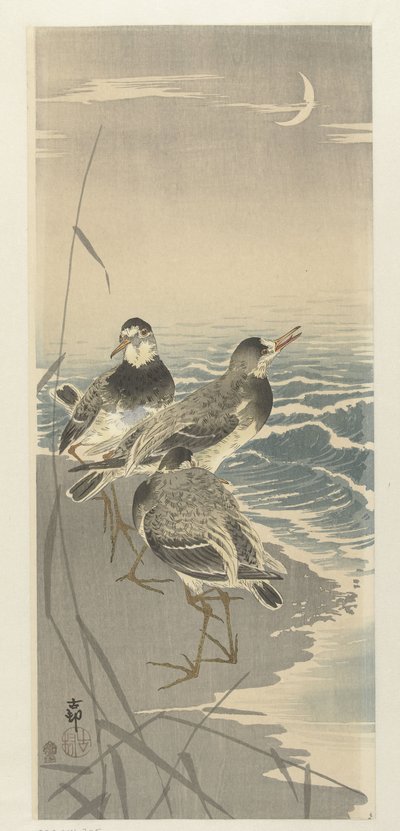 Hiekkapiiput sirppikuussa tekijältä Ohara Koson