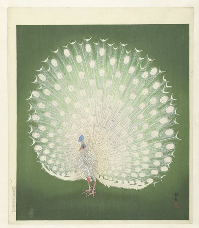 Peacockfinnish tekijältä Ohara Koson