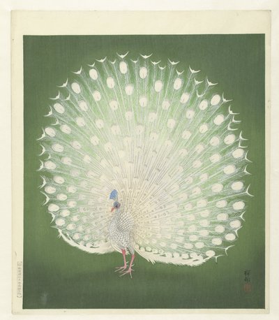 Riikinkukko tekijältä Ohara Koson