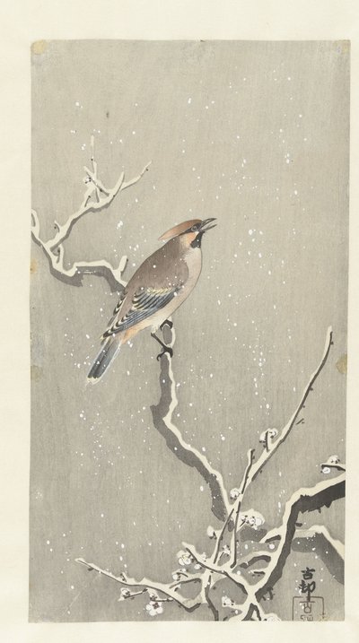 Vahasiipi lumisella oksalla tekijältä Ohara Koson