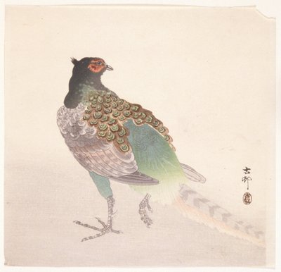 Fasaani (värillinen puupainatus) tekijältä Ohara Koson