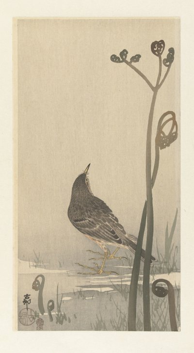 Piper rantakadulla tekijältä Ohara Koson