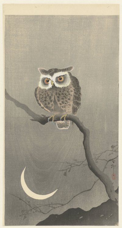 Pöllö paljaalla puun oksalla tekijältä Ohara Koson