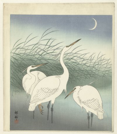 Haikaroita matalassa vedessä tekijältä Ohara Koson