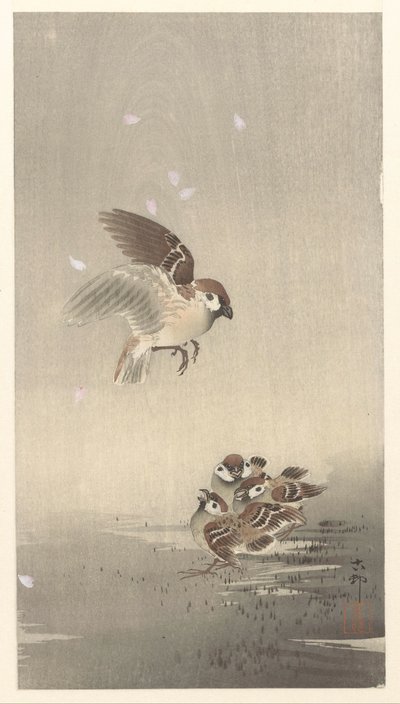 Sormusvarpunen pojan kanssa tekijältä Ohara Koson