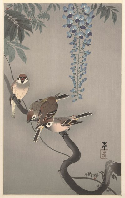Sormus varpuset wisteriassa tekijältä Ohara Koson
