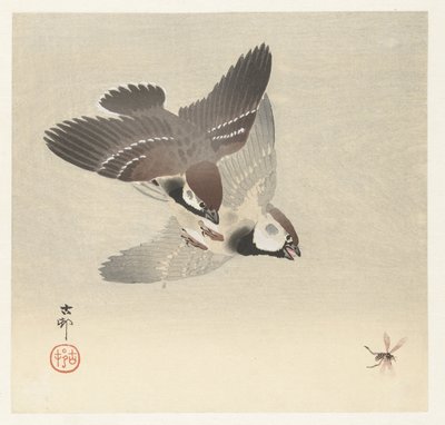 Varpuset ja hyönteiset tekijältä Ohara Koson