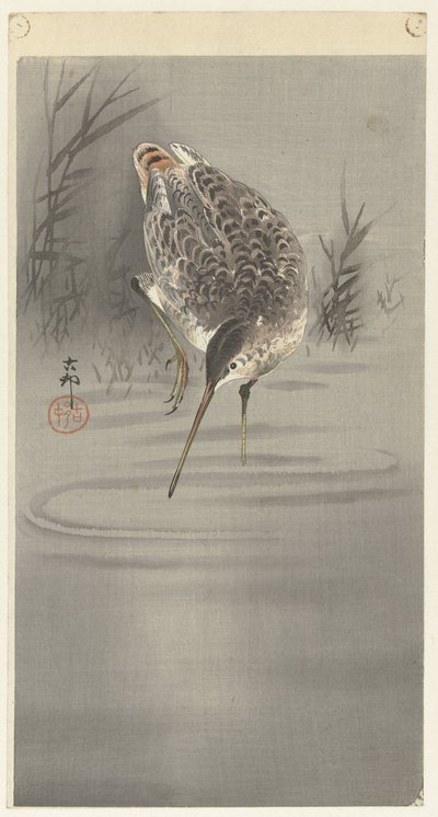 Leikkaa veteen tekijältä Ohara Koson