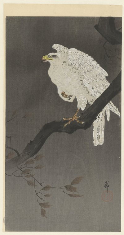 Lumikotka oksalla tekijältä Ohara Koson