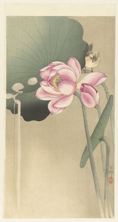 Songbird ja Lotus tekijältä Ohara Koson