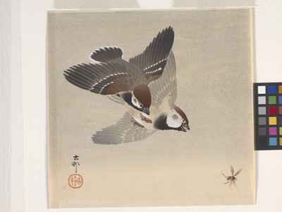 Sparrows Chasing Flying Insect (värillinen puupalikkaprintti) tekijältä Ohara Koson