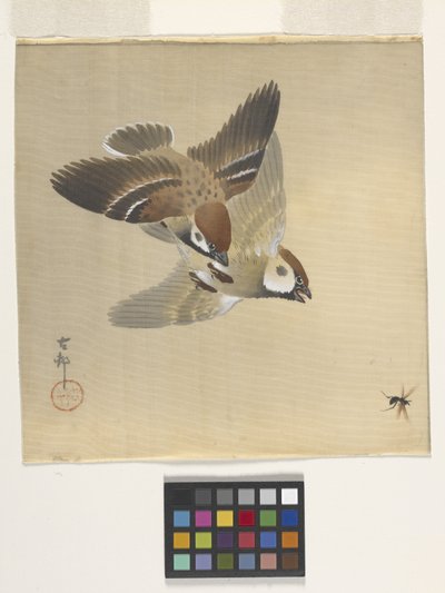 Lentäviä hyönteisiä jahtaavat varpuset (muste ja väri silkillä) tekijältä Ohara Koson
